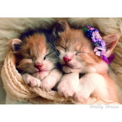 Пазл Сплячі кошенята (500 ел., Sleeping kittens)